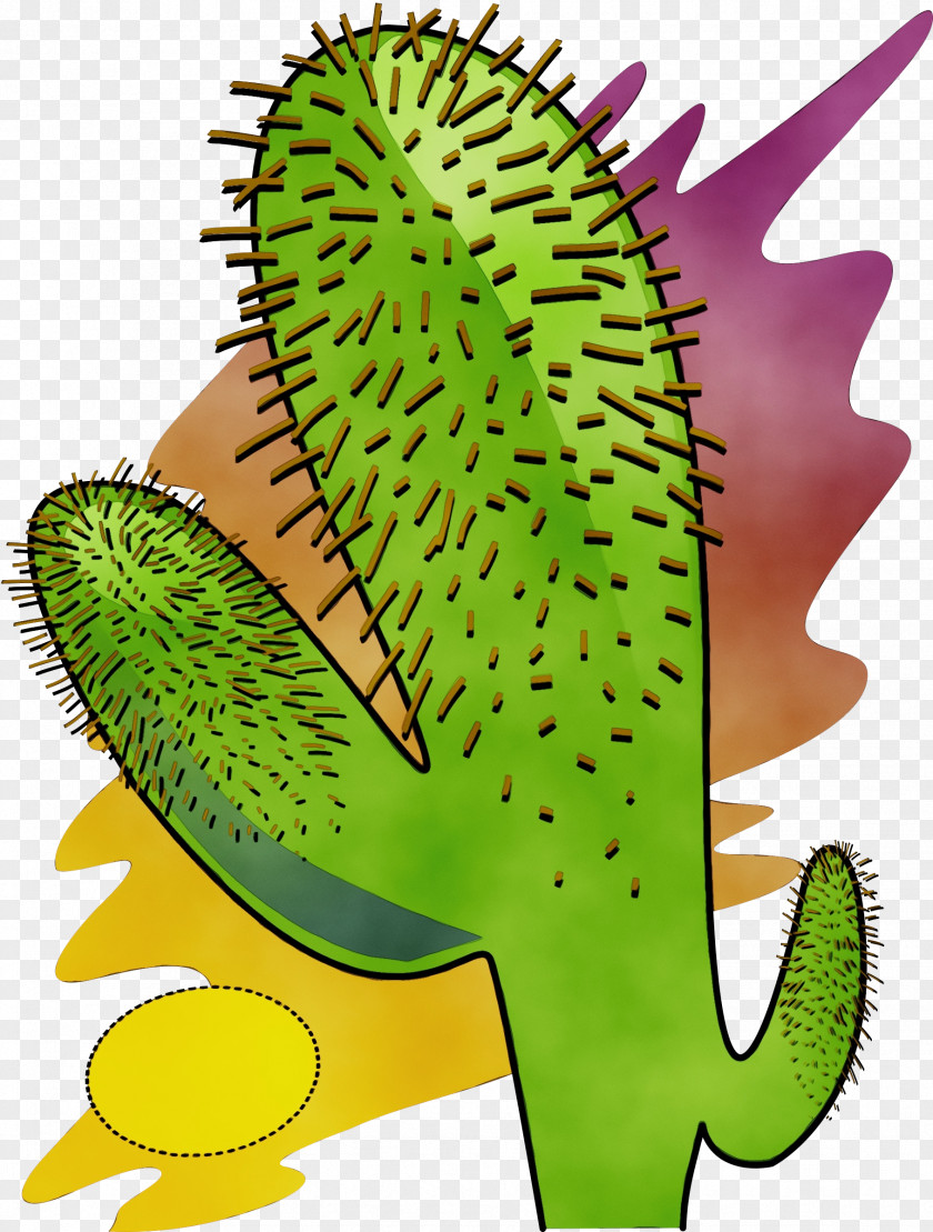 Nepenthes Durian Watercolor Flower Background PNG