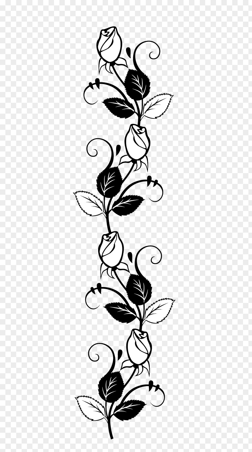 Rose Stencil Drawing Silhouette PNG