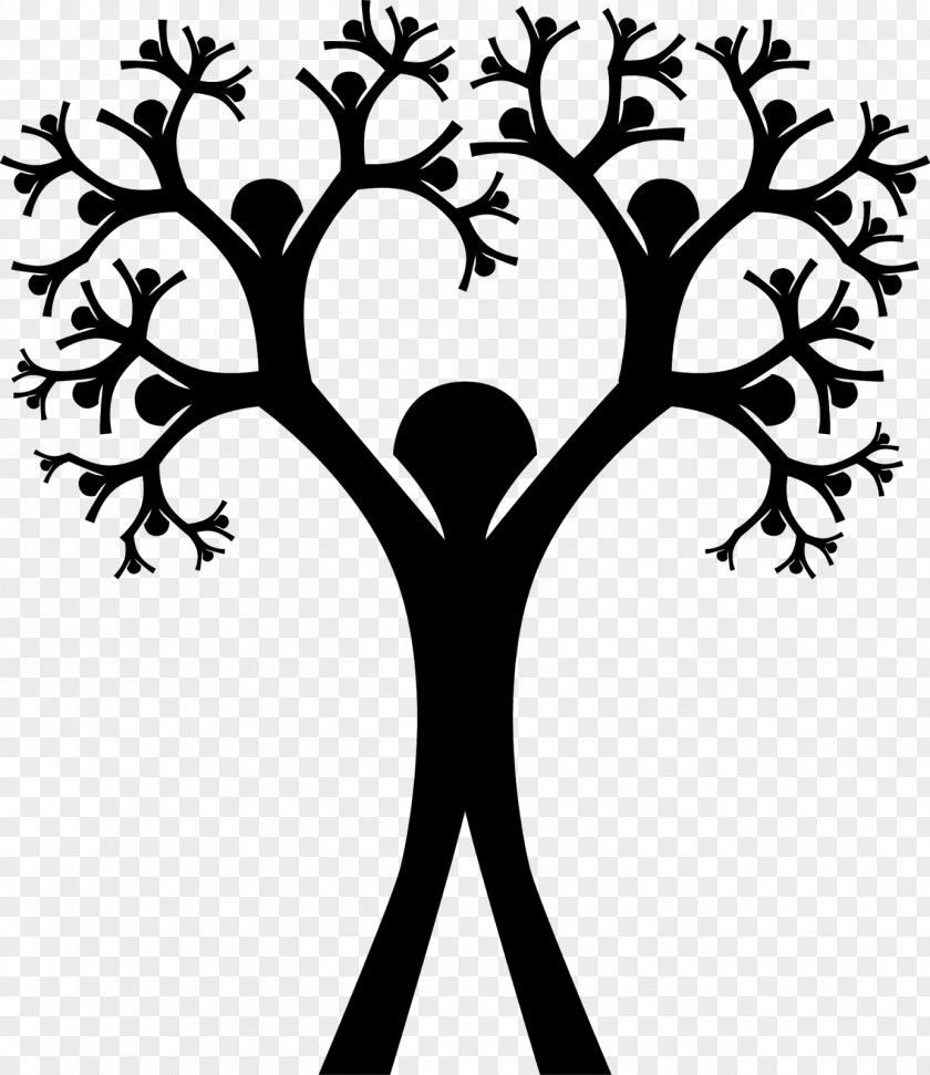 Soy Family Tree Genealogy Ancestor Clip Art PNG