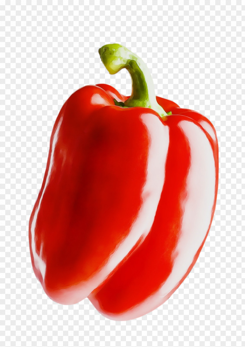 Tomato PNG