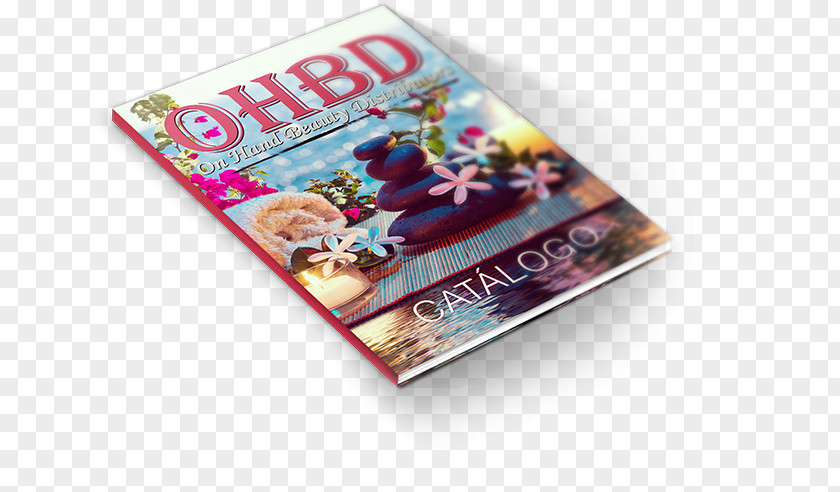 Catalog Cover Advertising PNG