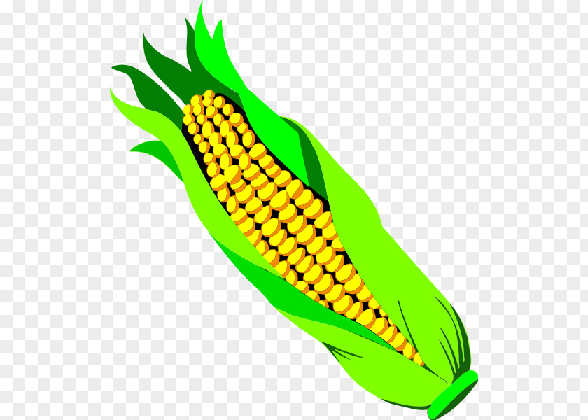 Ear Candy Corn Vegetable Maize Clip Art PNG