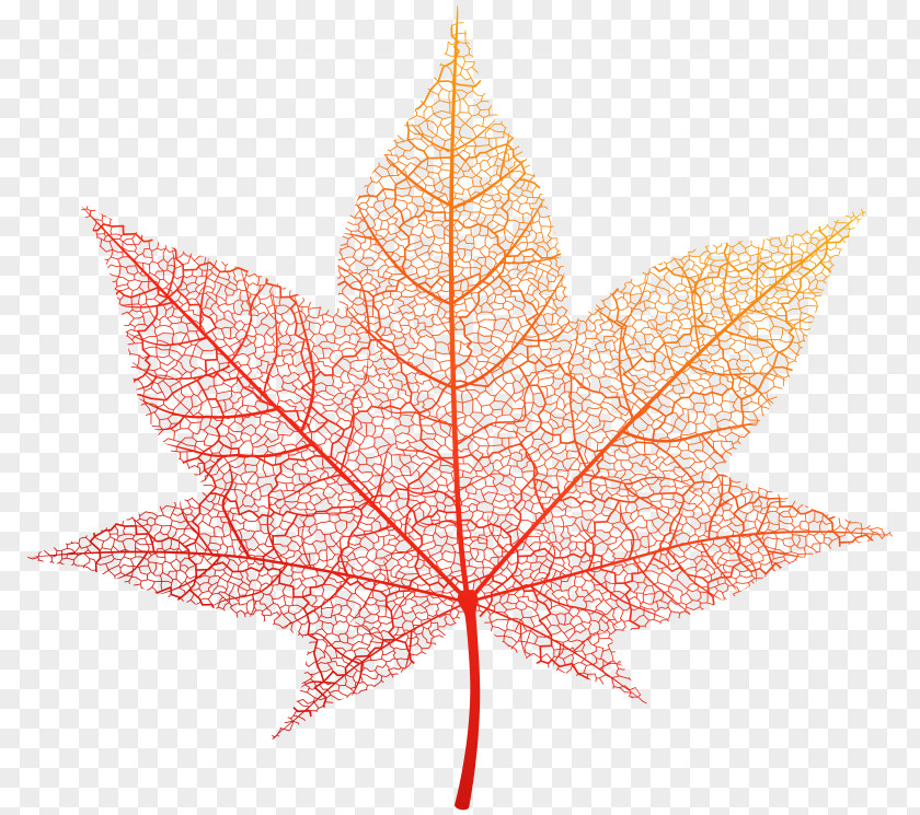 Leaf Autumn Color Clip Art PNG