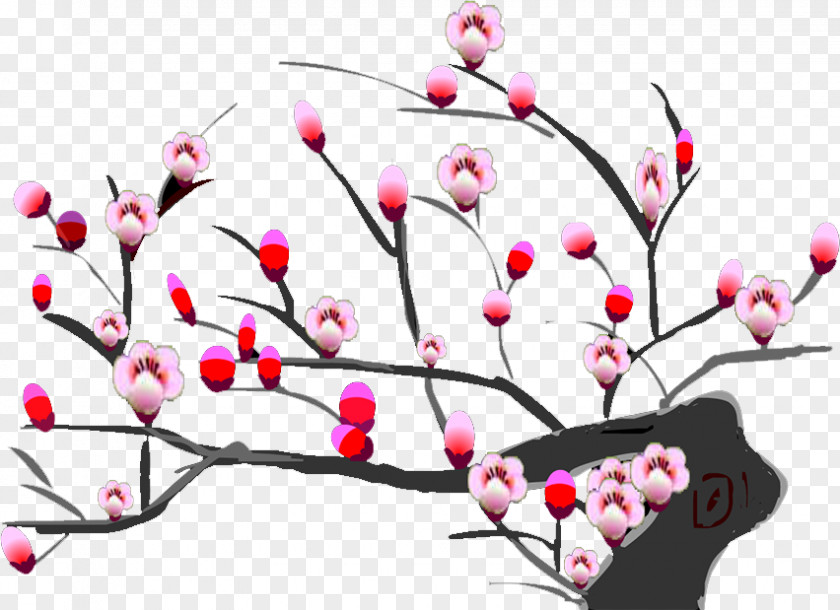 Plum Flower Blossom PNG