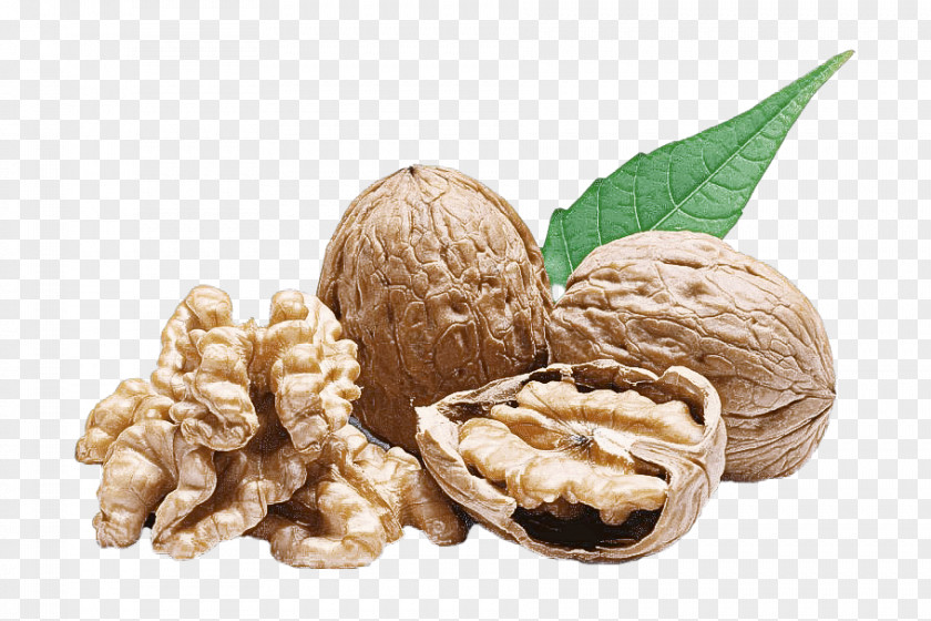 Walnut Celeiro Mais SaÚde Produtos Naturais How To Toast Walnuts Ingredient Tong Garden PNG