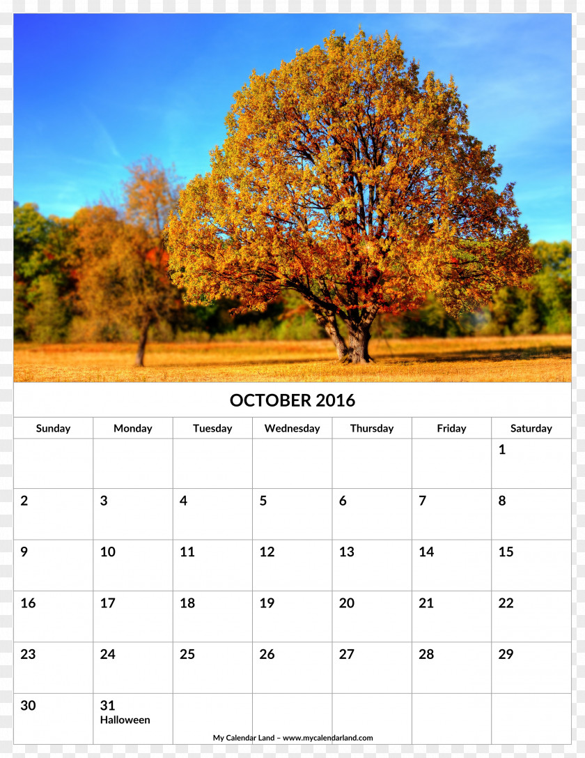 Woods Calendar Autumn Leaf Color 0 Season PNG