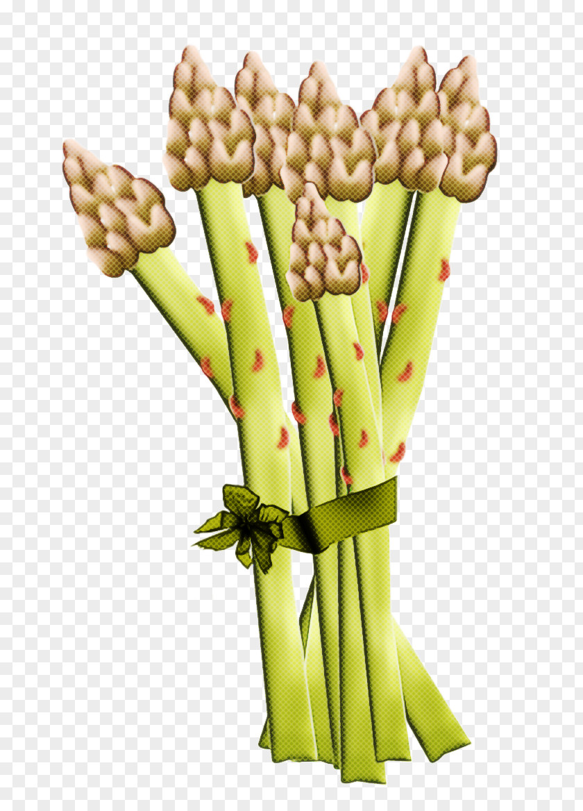 Asparagus Plant Vegetable Grass Stem PNG