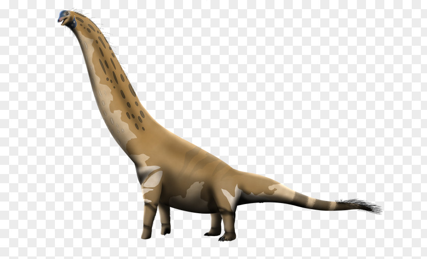 Barosaurus Brachiosaurus Dinosaur Giraffatitan Ankylosaurus Camarasaurus PNG