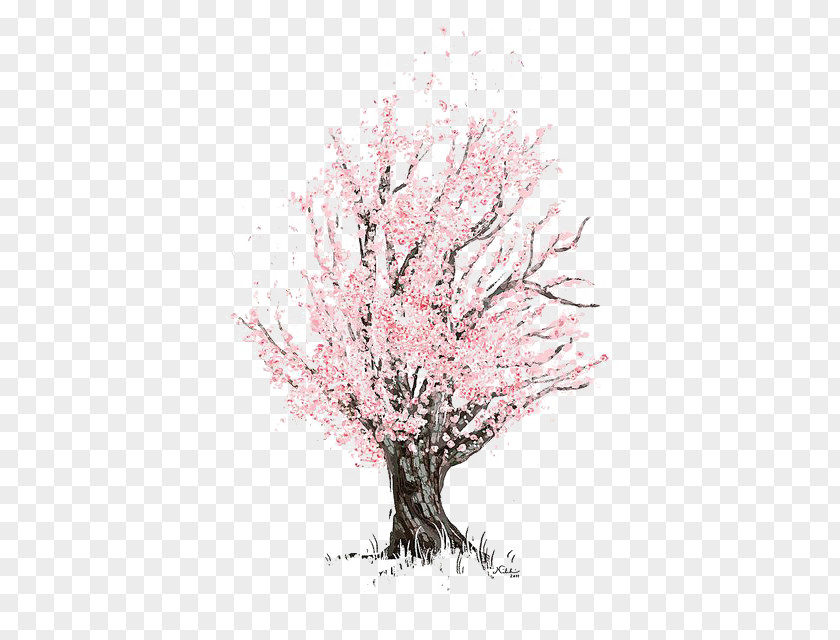 Cherry Tree Blossom Drawing Sketch PNG