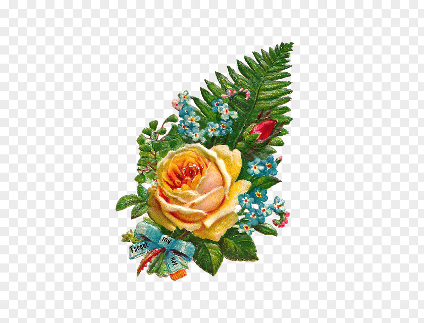 Forget Me Not Flowers Garden Roses Flower Bouquet Clip Art PNG