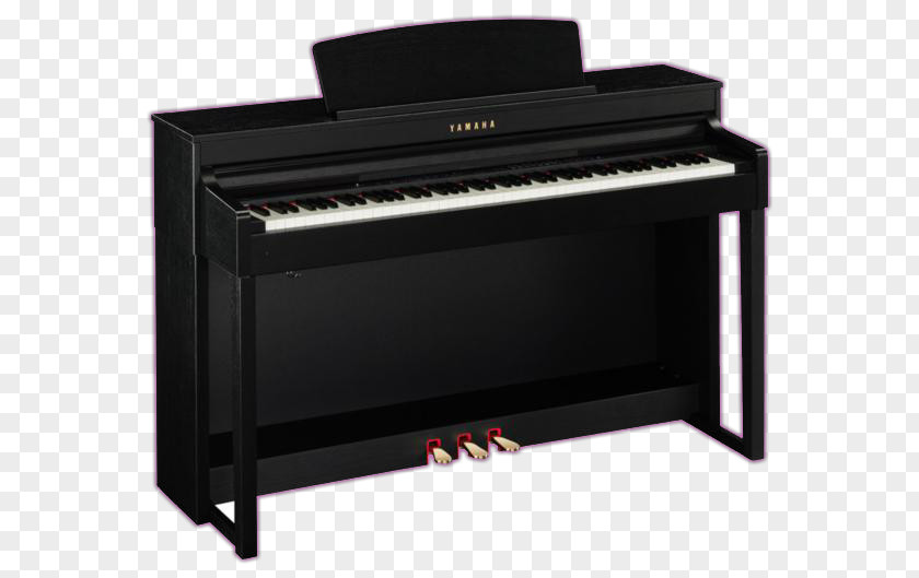 GP-300 BK AP 650 MBK Electric PianoYamaha Piano Digital Casio PNG