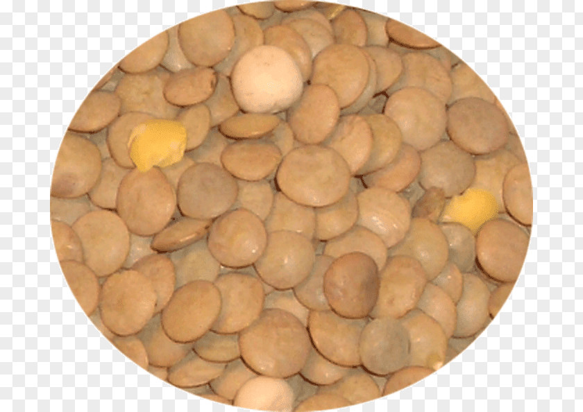 Khana Indian Cuisine Atta Flour Chickpea Ingredient PNG