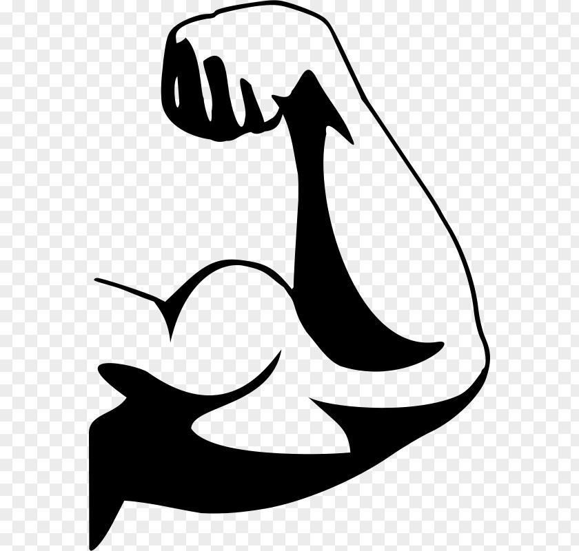Muscles Muscle Arm Biceps Cartoon Clip Art PNG