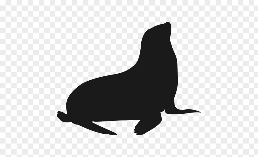 Starfish Cartoon Sea Lion Silhouette Walrus Logo PNG