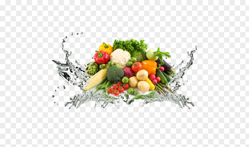 Vegetable Plant Health Food Street Vegetarian Cuisine Organic PNG