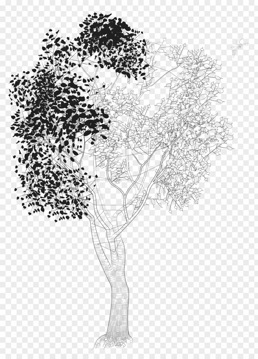 Wholesale Wind Chimes By The Dozen Sketch Illustration Visual Arts Line Art PNG