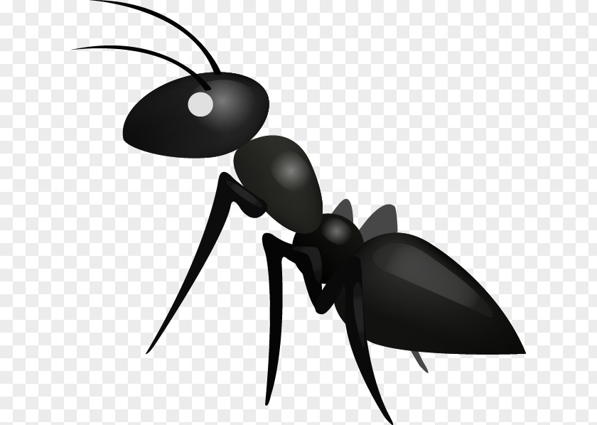 Ants Ant GuessUp : Guess Up Emoji Sticker PNG