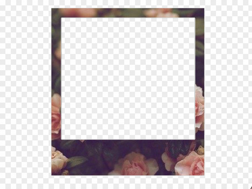 Polaroid Picture Frames Photography Adobe Flash Player Pattern PNG