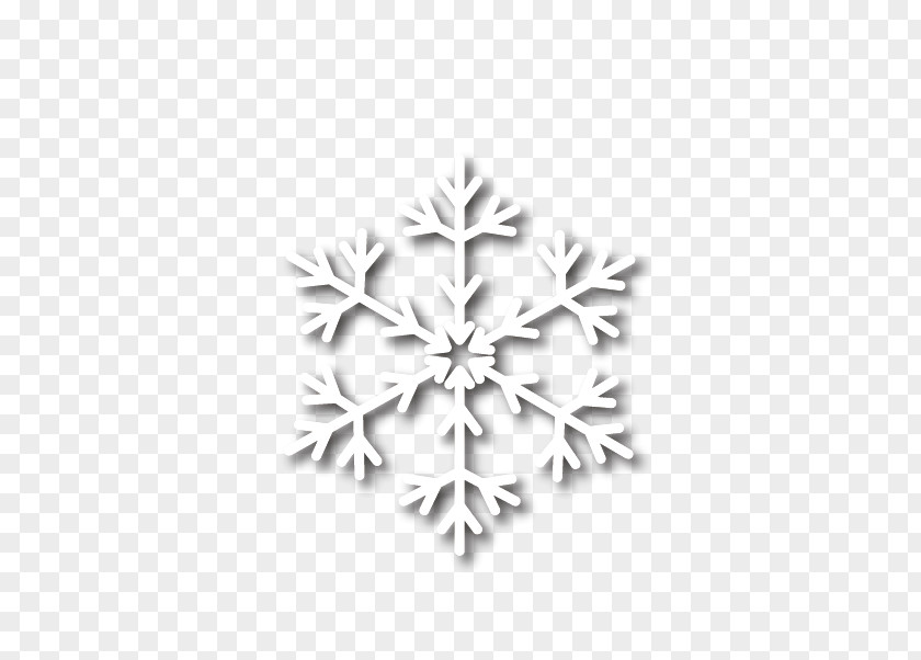 Snowflake Uvrier Schema PNG