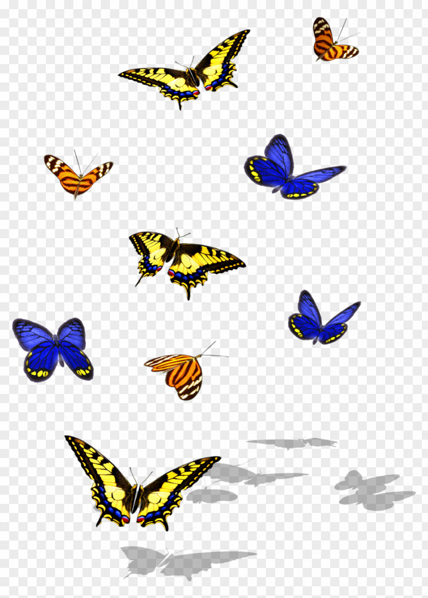 Butterfly Monarch Brush-footed Butterflies Insect Clip Art PNG