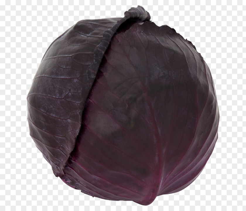 Cabbage Red Vegetable Braising PNG
