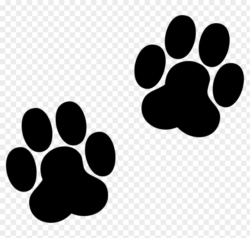 Dog Paw Footprint Printing Cat PNG