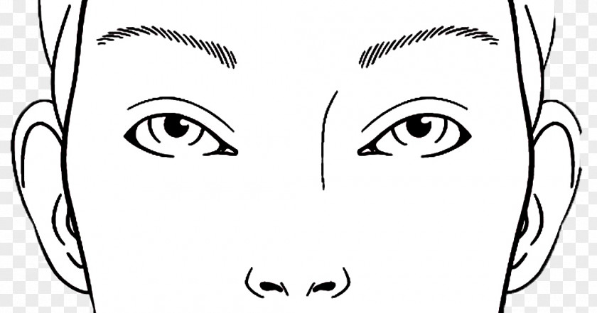 Face Chart Cosmetics Drawing PNG