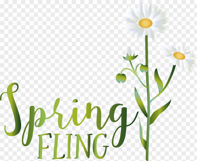 Floral Design PNG