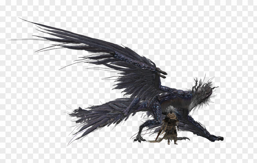 Hurricane Dark Souls III Nameless King Video Game PNG