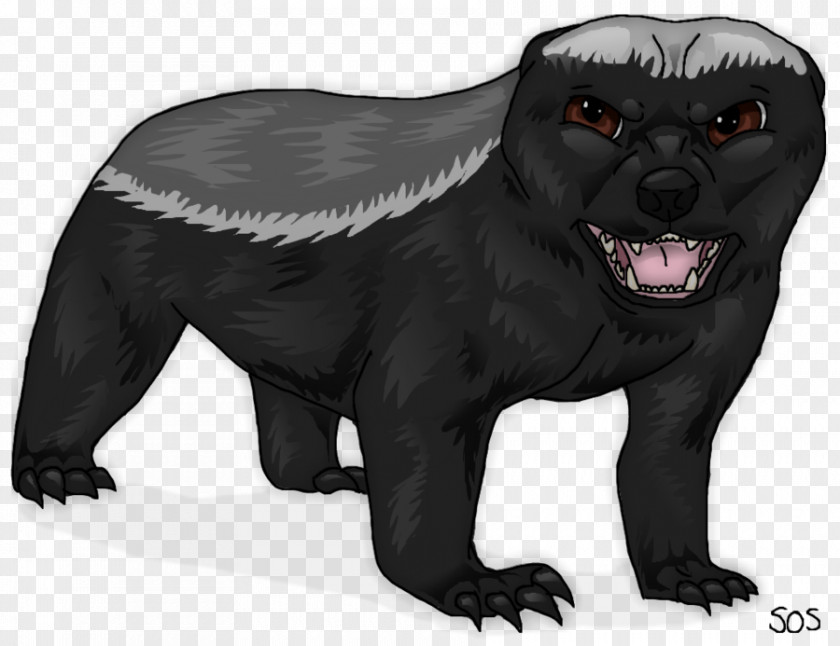 Bear Honey Badger Drawing PNG