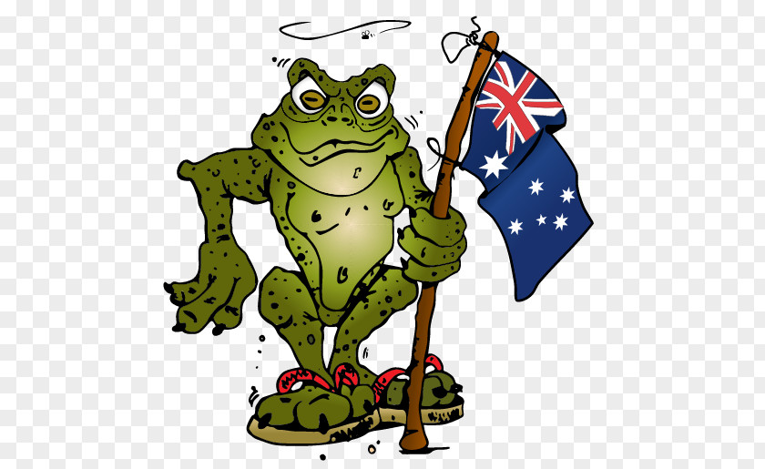 Frog Cane Toads In Australia Clip Art PNG