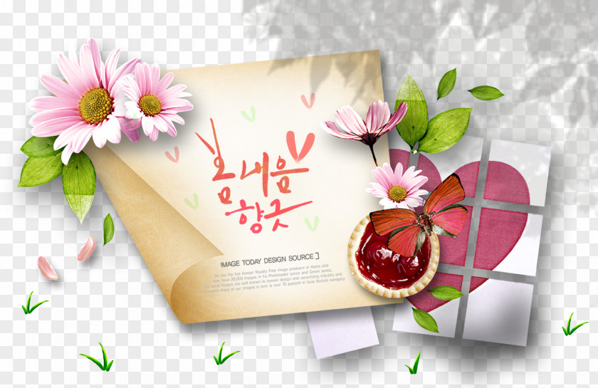 Korean Style Floral Illustration Grass Free Downloads Paper Design Flower PNG
