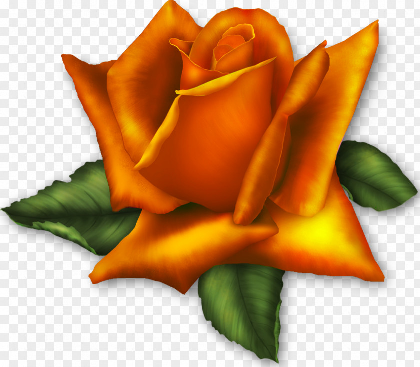 Rose GIF Clip Art Image PNG
