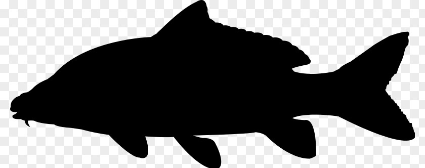 Silhouette Whiskers Common Carp PNG