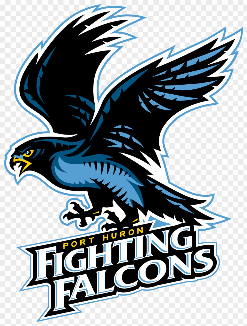 Falcon McMorran Place Atlanta Falcons Keystone Ice Miners Aberdeen Wings Wichita Falls Wildcats PNG