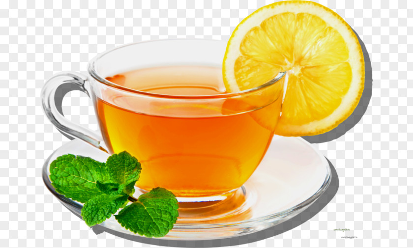 Green Tea White Lemon PNG