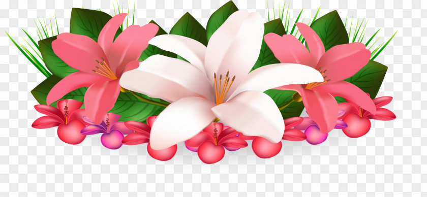 Lily Flower Clip Art PNG