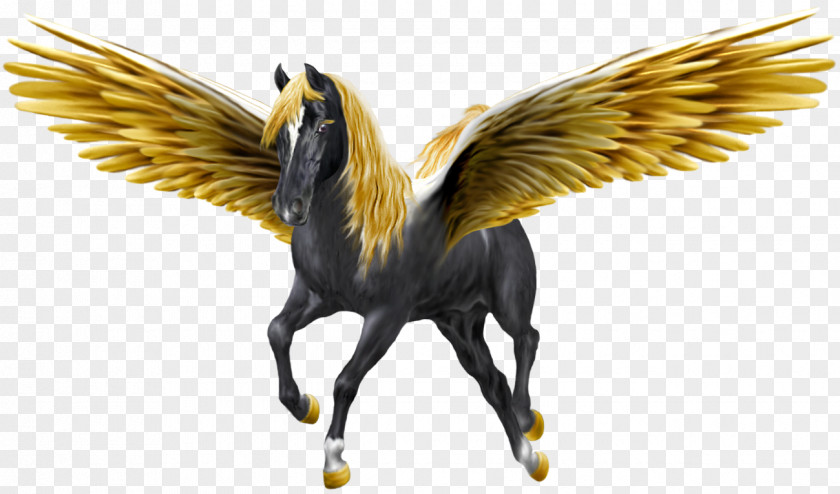 Pegasus Clipart Desktop Wallpaper Horse Unicorn PNG
