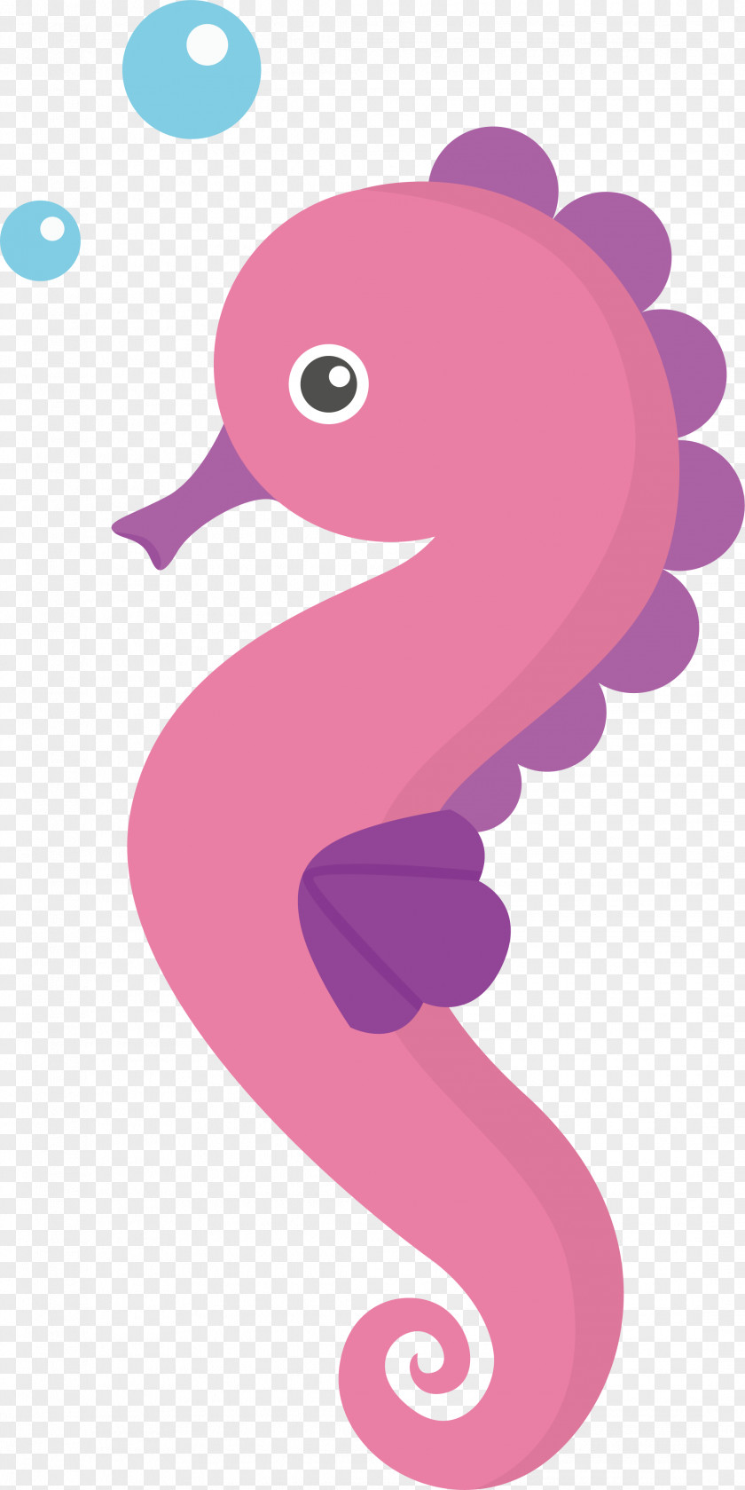 Spit Bubbles In The Hippocampus Seahorse Cartoon Animation Clip Art PNG
