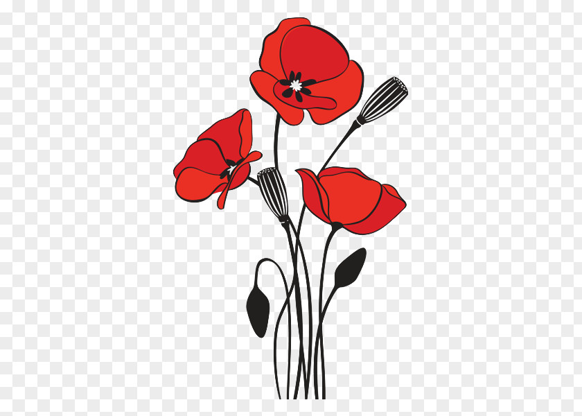 Common Poppy Remembrance Armistice Day PNG