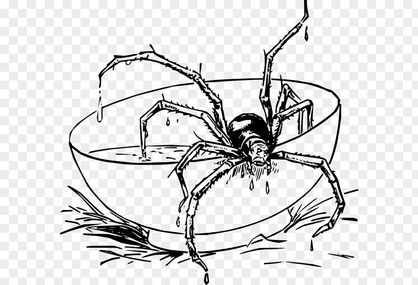 Spider Scary Spiders Coloring Book Tarantula Spider-Man PNG
