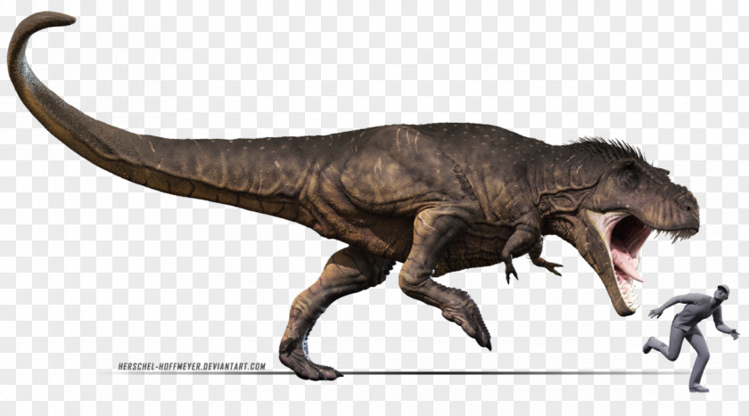 T Rex Tyrannosaurus Carcharodontosaurus Deinosuchus Tarbosaurus Giganotosaurus PNG