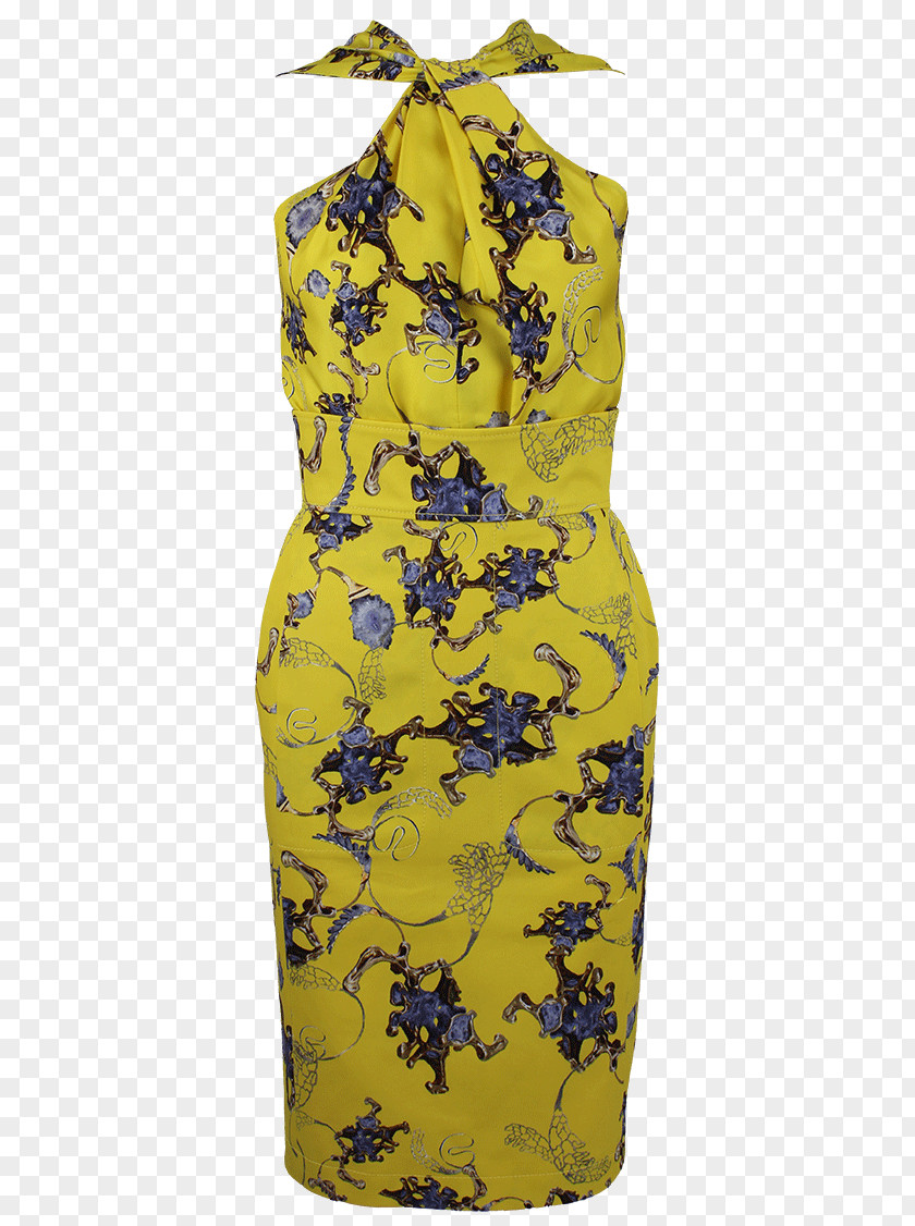 Alberta Ferretti Cocktail Dress PNG