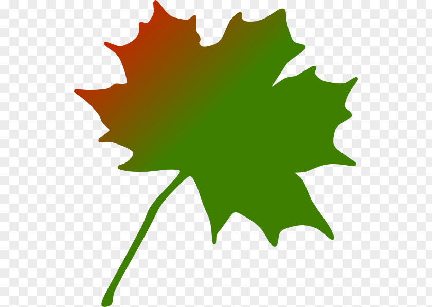 Canada Maple Leaf Clip Art PNG