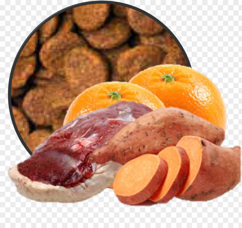 Dog Food Welby Eend Light PNG