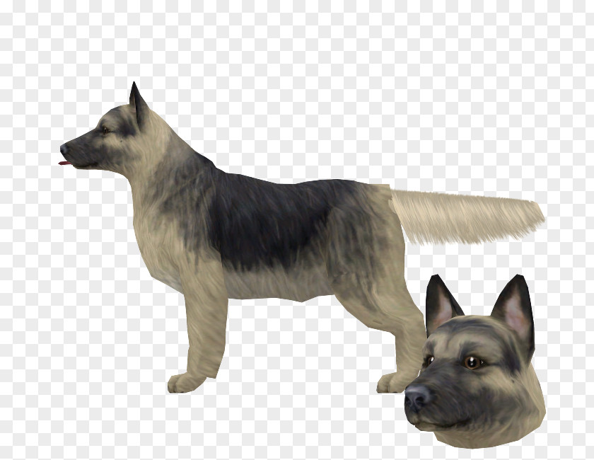 German Shepherd Saarloos Wolfdog Kunming Norwegian Elkhound Shiloh Dog PNG