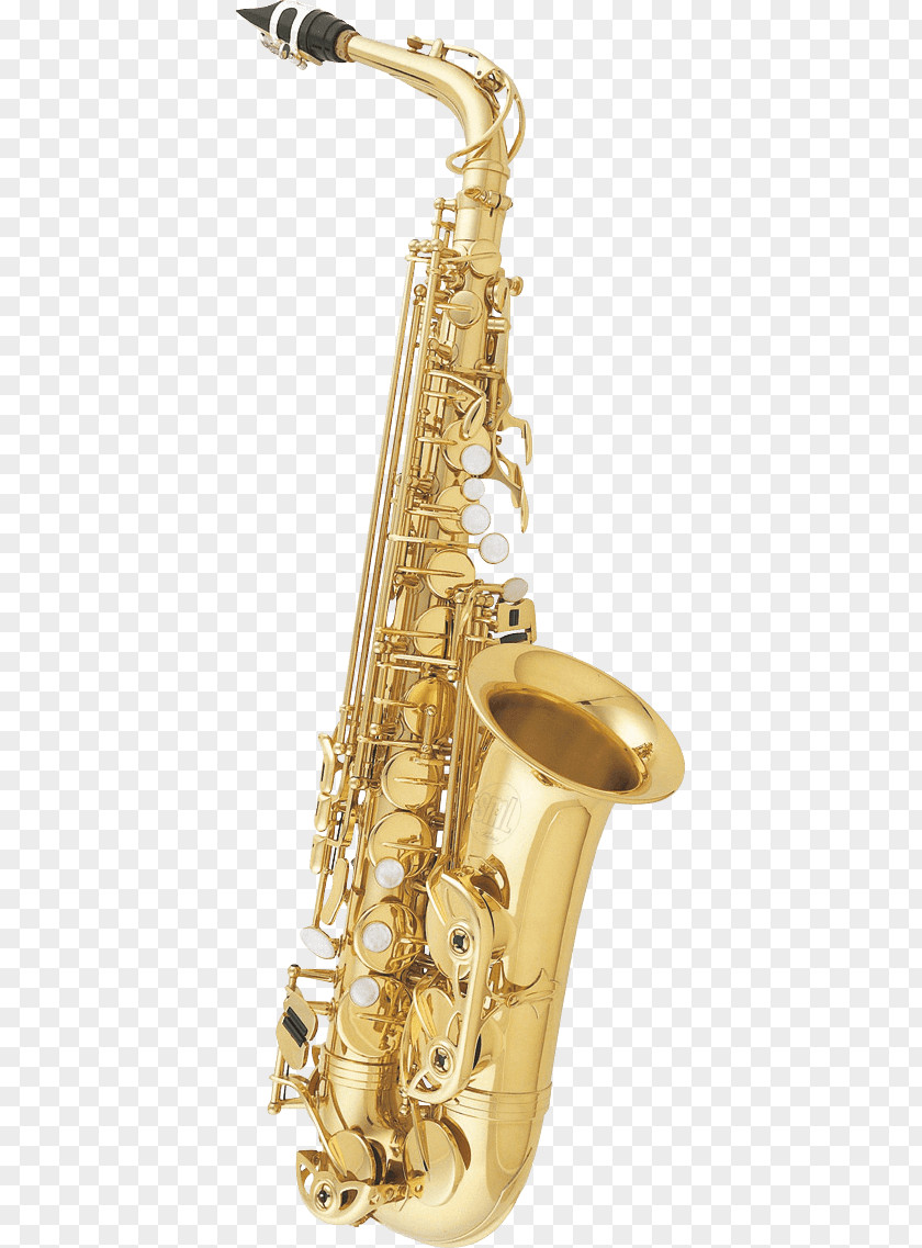 Saxophone Alto Soprano Reed PNG