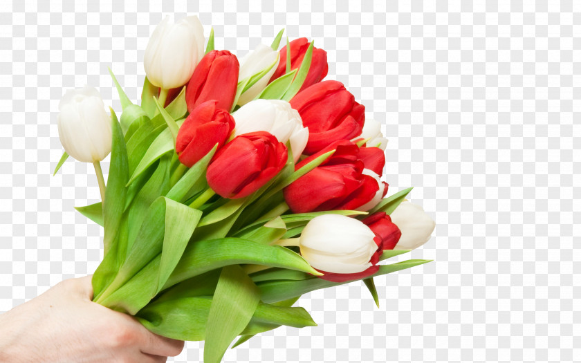 Tulip Bouquet Flower High-definition Television Wallpaper PNG