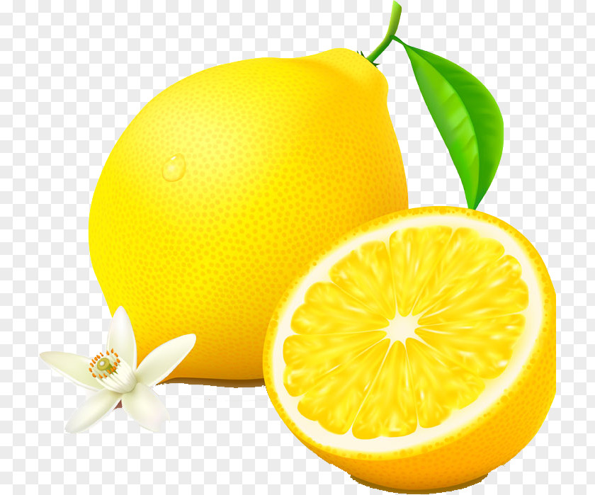 Yellow Lemon Auglis Cartoon Orange Illustration PNG