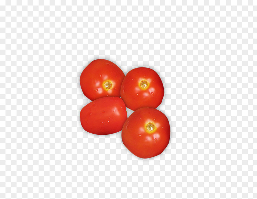 Cherry Tomatoes Plum Tomato Soup Bush PNG